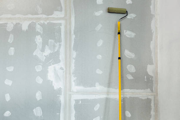 Best Post-Construction Mold Inspection  in Pennsburg, PA
